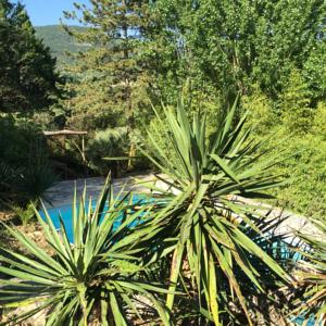 Hebergement Villa L'Occitane : photos des chambres