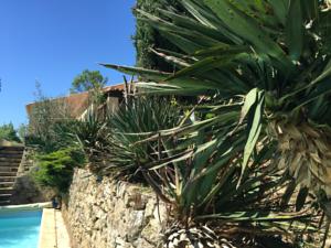 Hebergement Villa L'Occitane : photos des chambres