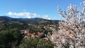 Appartement Gite Ultrera : photos des chambres