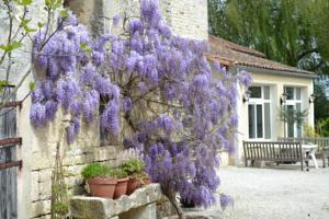 Chambres d'hotes/B&B Le Moulin de Lusseau : photos des chambres
