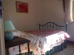 Hebergement Butterfly Cottage : photos des chambres