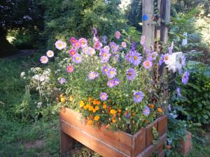 Hebergement Butterfly Cottage : photos des chambres