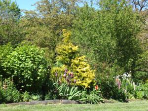 Hebergement Butterfly Cottage : photos des chambres