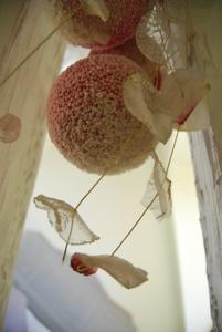 Appartement Gite L'Arquebuse : photos des chambres
