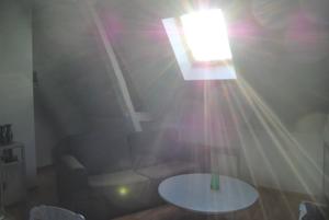 Appartement Gite L'Arquebuse : photos des chambres