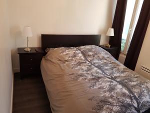 Appartement Meubles de Tourisme a Vincennes : photos des chambres