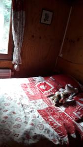 Hebergement Chalet du Feignole : photos des chambres