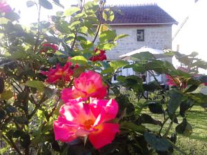 Hebergement Les Roses Tremieres : photos des chambres