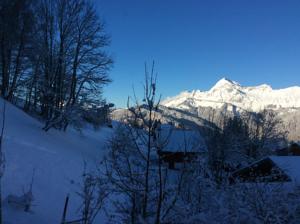 Appartement Les flocons : photos des chambres
