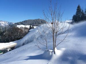Appartement Les flocons : photos des chambres