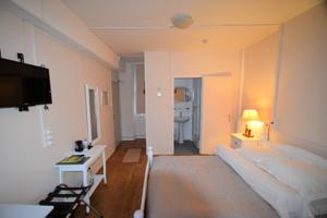 Hotel Auberge Le Rabelais : Chambre Simple avec Salle de Bains 