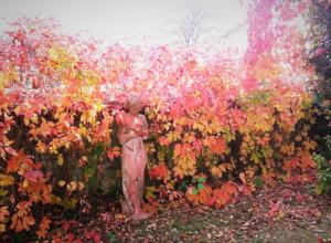 Hebergement Les Roses Tremieres : photos des chambres