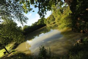 Hebergement Kimaro Farmhouse Holiday Cottage : photos des chambres