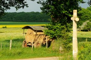 Hebergement Kimaro Farmhouse Holiday Cottage : photos des chambres