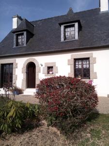 Chambres d'hotes/B&B Chambres d'Hotes Kergroas Tredarzec : photos des chambres