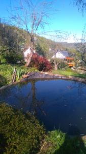 Hebergement gite de l'orchidee : photos des chambres