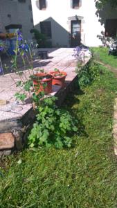 Hebergement gite de l'orchidee : photos des chambres