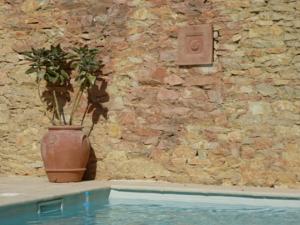 Hebergement L'Enclos du Micocoulier : photos des chambres