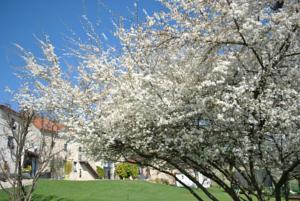 Hebergement Auvergnat'Home : photos des chambres