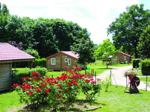 Hebergement Camping Des Papillons : photos des chambres