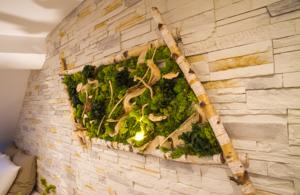 Appartement Le Refuge d'Orphee : photos des chambres