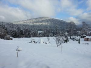 Chambres d'hotes/B&B B&B Chalet l'Epinette : photos des chambres