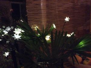 Hebergement Les Jardins de Valaurie : photos des chambres