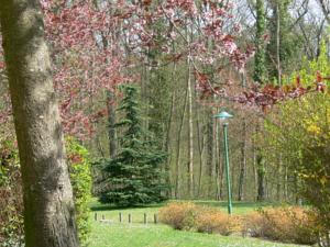 Appartement Residence de la foret : photos des chambres