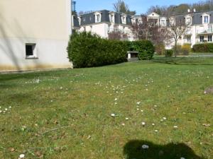 Appartement Residence de la foret : photos des chambres