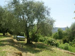 Hebergement Maison De Vacances - Berre-Les-Alpes 1 : photos des chambres