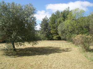 Hebergement Villa - Cebazan : photos des chambres
