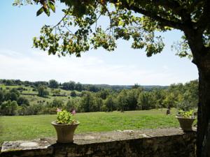 Hebergement Maison De Vacances - Thedirac 1 : photos des chambres