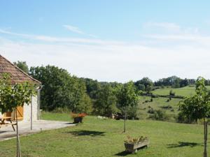 Hebergement Maison De Vacances - Thedirac 1 : photos des chambres