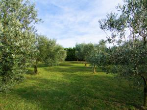 Hebergement Maison De Vacances - Montfrin : photos des chambres