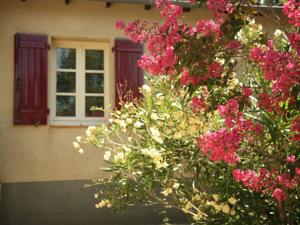 Hebergement Maison De Vacances - Pontcirq : photos des chambres