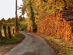 Hebergement Maison De Vacances - Montclera 1 : photos des chambres