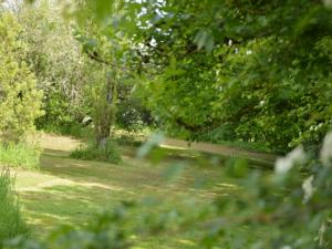 Hebergement Saule Des Bois : photos des chambres