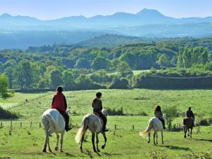 Hebergement Entre Clermont Ferrand Et Montlucon : photos des chambres