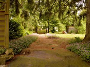 Hebergement Gite Aerien : photos des chambres