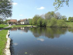 Hebergement Au Bord De L Etang : photos des chambres