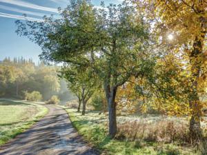 Hebergement Entre Cahors Et Souillac Dans Le Lot : photos des chambres
