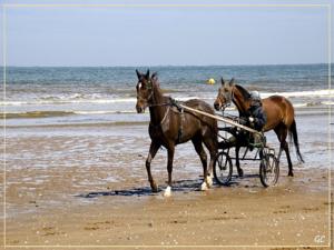 Appartement Cabourg 