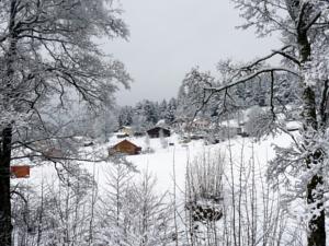 Hebergement Chalet Bleu : photos des chambres