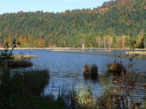 Hebergement Chalet Bleu : photos des chambres