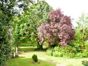 Hebergement Petits Chaumes : photos des chambres