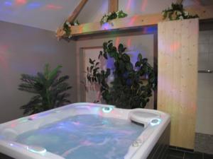 Hebergement Gite la bulle Enchantee : photos des chambres