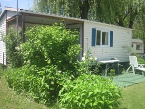 Hebergement Camping les Lavandes : photos des chambres
