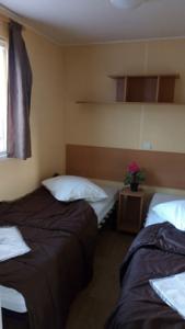 Hebergement Camping L'olivier : photos des chambres
