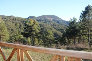Hebergement Camping RCN Les Collines de Castellane : photos des chambres