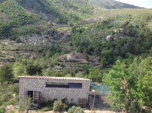 Hebergement Ferme des Olivettes : photos des chambres